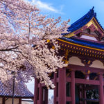 Ikegami Honmonji Temple