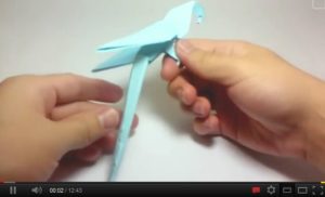 How To Make An Origami Canary And Macaw Kcp International