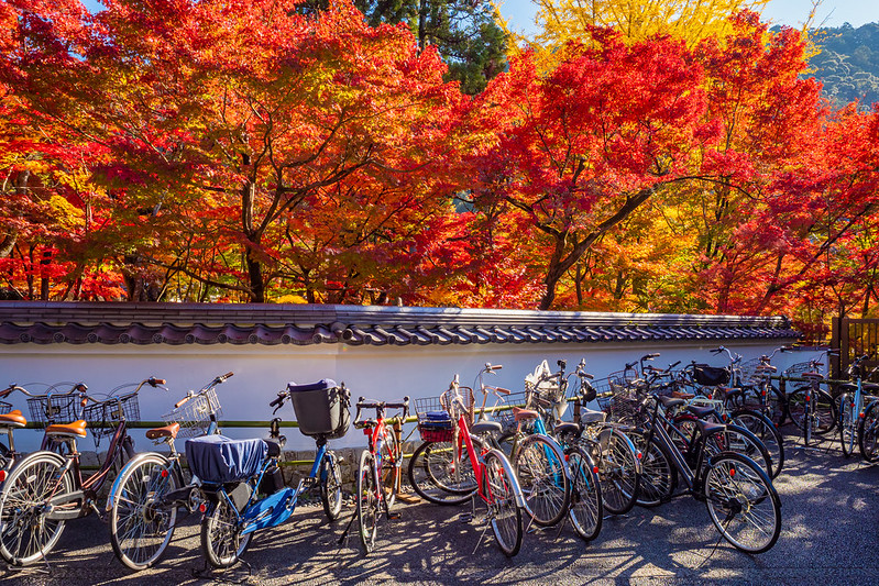 Bicycle parking in Kyoto