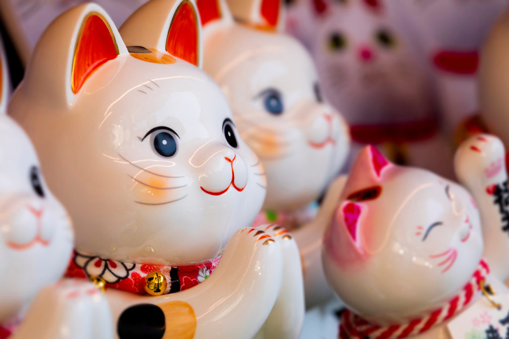 Japanese lucky cat