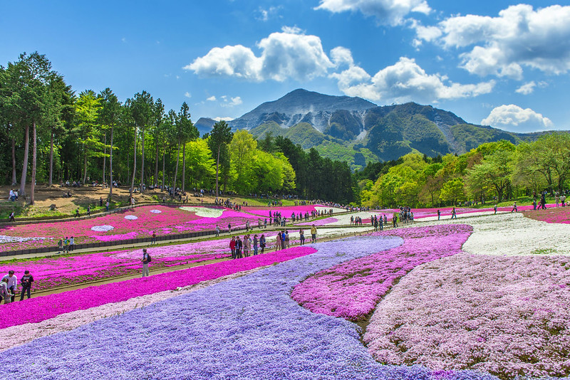 Hitsujiyama Park