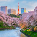 Chidorigafuchi park with Tokyo Tower