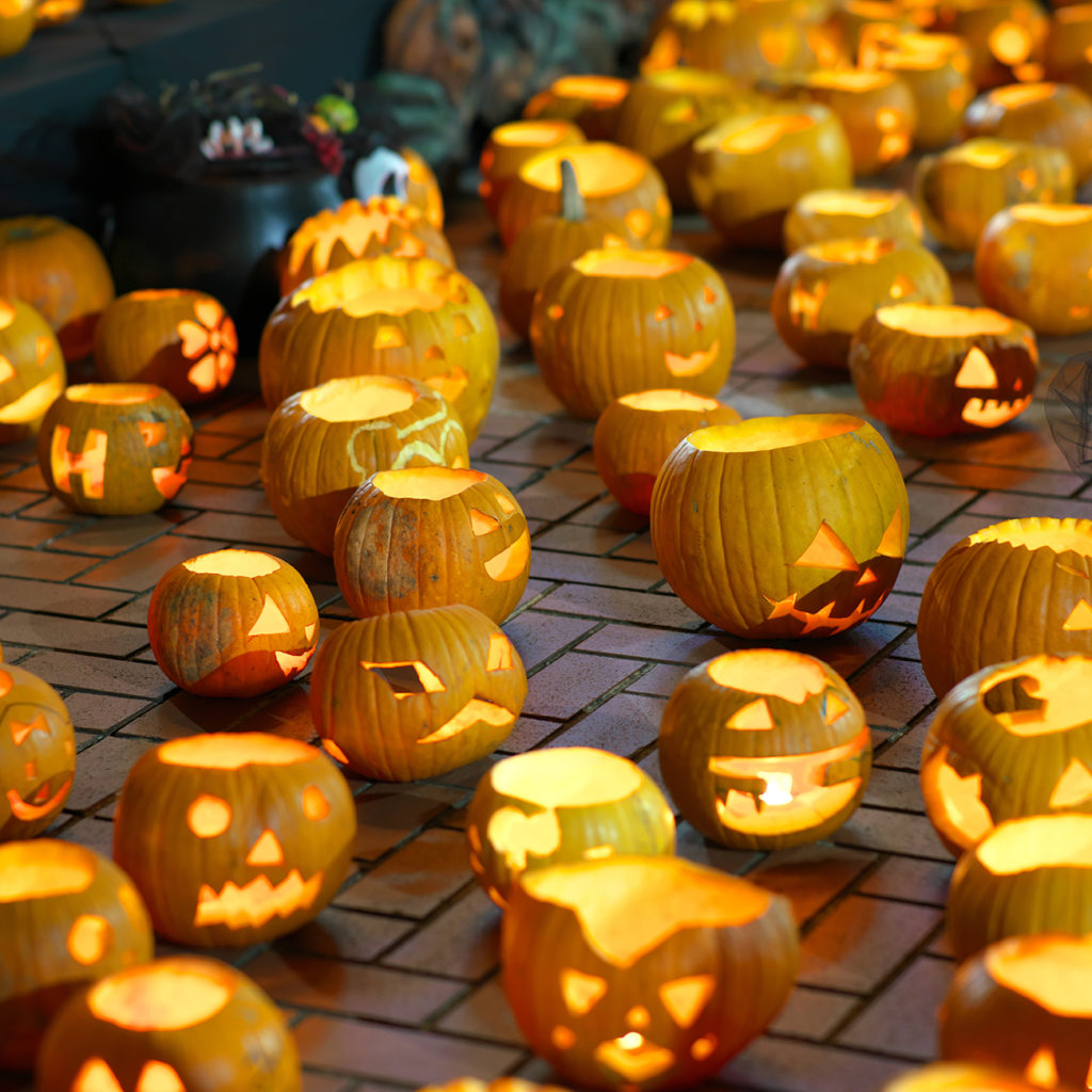 Halloween pumpkins