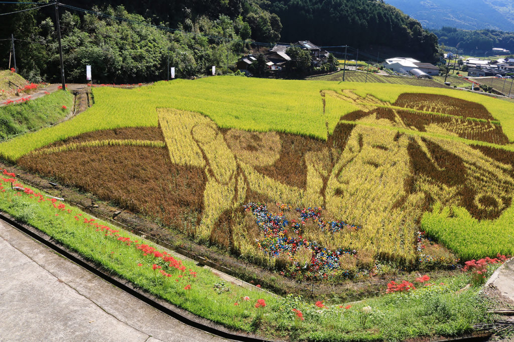 Rice paddy art