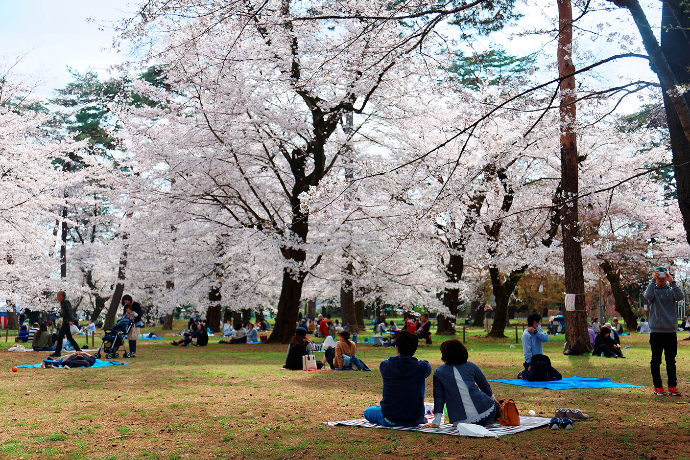 Unique Things About Japanese Culture