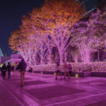 Shinjuku Terrace City Illumination