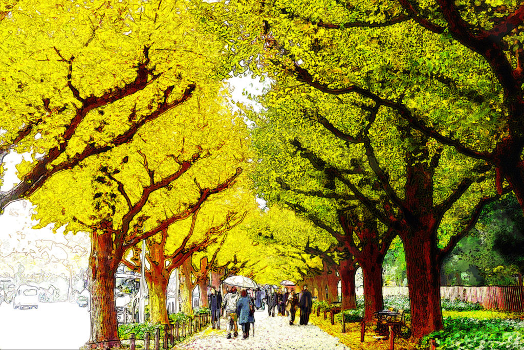 Meiji Jingu Gaien Park during autumn