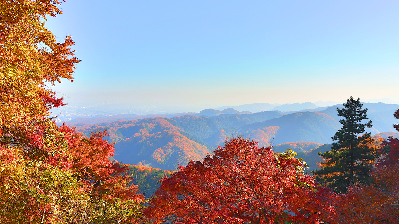 Guarda Zapatos - Picture of Kaminarimon Tobimatsu, Taito - Tripadvisor