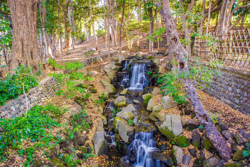 Togoshi Park