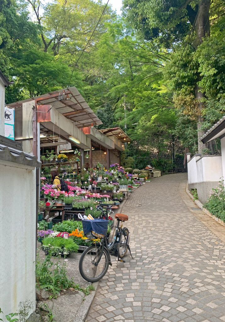 One of the many paths veering out from Jindaiji. This one leads up to the botanical garden.