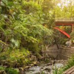 Red metal bridge of Todoroki park in the Setagaya district of Tokyo.