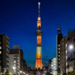 Tokyo cityscape at night